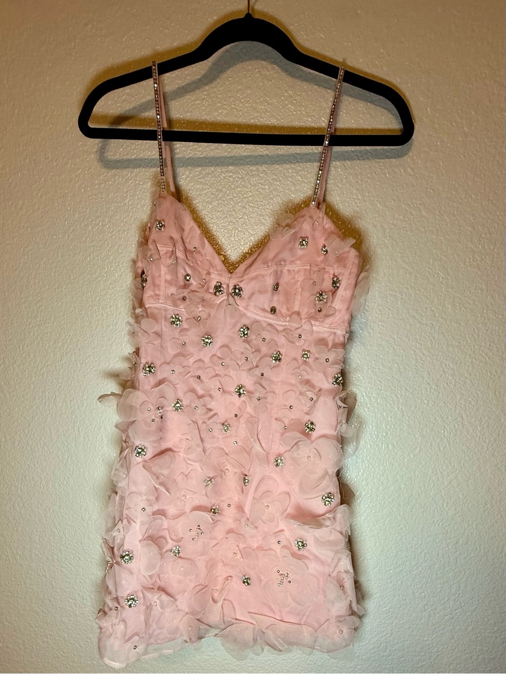 LoveShackFancy Pink Ambessa Embellished Organza Mini Dress - Picture 8 of 14